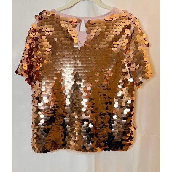 Eva Franco Anthropologie Pink Sequins Oversized Tee sz, XS - Picture 4 of 8